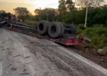 Tráiler vuelca y bloquea por completo la carretera Cancún-Leona Vicario 3 Tráiler vuelca y bloquea por completo la carretera Cancún-Leona Vicario