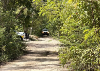 Hallan a una pareja sin vida en bolsas en la SM 313; al parecer fueron estrangulados 4 Hallan a una pareja sin vida en bolsas en la SM 313; al parecer fueron estrangulados