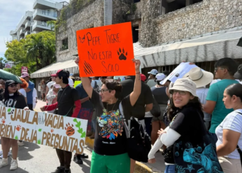 Protestan en Cancún por caso de Pepe Tigre y exigen revisar situación de jaguares