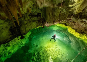 UNAM alerta por alta contaminación en cenotes de la Península de Yucatán