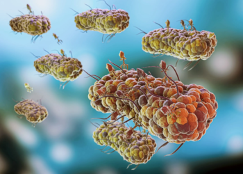 Brote de Salmonella enferma a 135 médicos en hospital de México