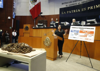 Mayuli lleva sargazo al Senado y exige atender la crisis en Quintana Roo