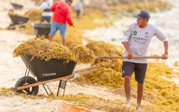 Tulum en jaque: el sargazo y la falta de vuelos hunden la ocupación 2 Tulum en jaque: el sargazo y la falta de vuelos hunden la ocupación