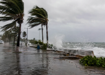 13 de octubre: ¿qué tan preparado está Quintana Roo ante los desastres naturales? 2 13 de octubre: ¿qué tan preparado está Quintana Roo ante los desastres naturales?