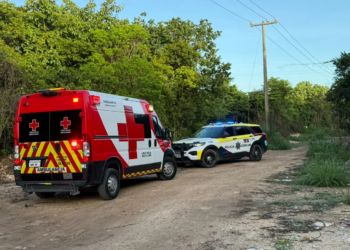 Localizan a mujer sin vida en camino de terracería en Cancún 5 Localizan a mujer sin vida en camino de terracería en Cancún
