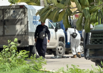 Hallan cuerpo dentro de una bolsa en área verde de la Supermanzana 97