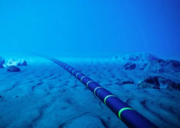 Ambientalistas advierten afectaciones a arrecifes por cableado submarino en Playa del Carmen; no descartan amparo 1 Ambientalistas advierten afectaciones a arrecifes por cableado submarino en Playa del Carmen; no descartan amparo