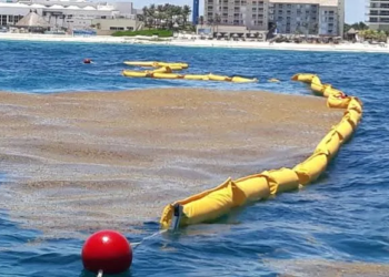 Marina prueba innovadoras barreras dinámicas contra el sargazo en Quintana Roo 2 Marina prueba innovadoras barreras dinámicas contra el sargazo en Quintana Roo