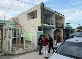 Investigan hallazgo de siete sereques en Villas Otoch, en Cancún