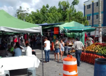 Tianguistas de Cancún reportan severa caída de ventas de hasta 40% 4 Tianguistas de Cancún reportan severa caída de ventas de hasta 40%